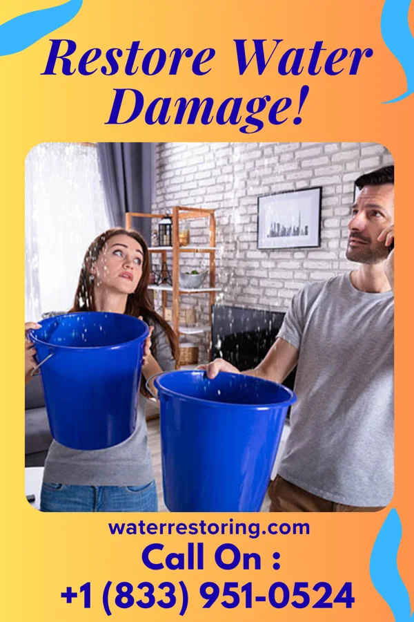 water restoration Extraction Professionals Baywood
