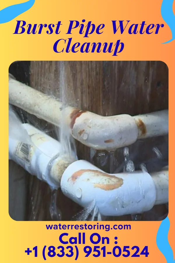 Burst Pipe Water Cleanup in Baywood, NY