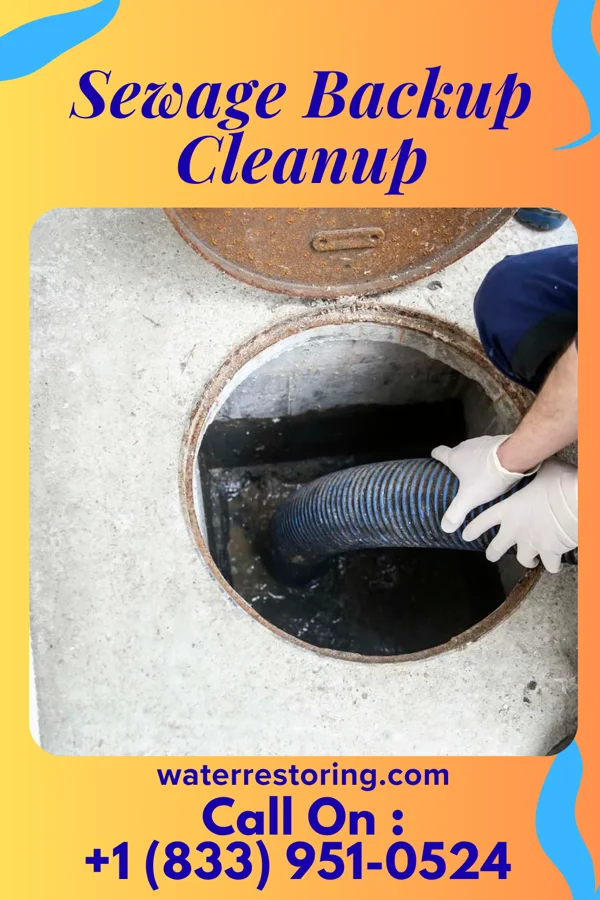 Sewage Backup Cleanup in Baywood, NY