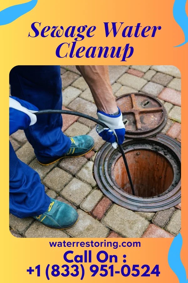 Sewage Water Cleanup in Baywood, NY